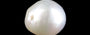 Keshi Pearl - 6.35 Carat Limited Quality SSP-8989