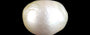 Keshi Pearl - 7.52 Carat Limited Quality SSP-8991
