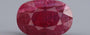 Mozambique Ruby - 8.15 Carat Limited Quality BR-7521