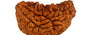 Natural 1 Mukhi Rudraksha