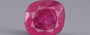 Burma Ruby - 4.93 Carat Limited Quality BR-7503