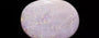 Opal - OPL 11040 (Origin - Australian) Fine - Quality