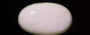 Opal - OPL 11054 Prime - Quality