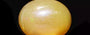 Opal - OPL 11057 Fine - Quality