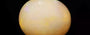 Opal OPL-11068 (Origin - Ethiopian) Limited - Quality