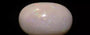 Opal - OPL 11087 (Origin - Australian) Limited - Quality
