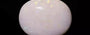 Opal - OPL 11088 (Origin - Australian) Limited - Quality