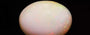 Opal - OPL 11143 (Origin - Ethiopian) Prime - Quality