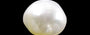 Keshi Pearl - 3.62 Carat Limited Quality SSP-8548