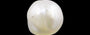 Venezuela Pearl - 4.74 Carat Limited Quality SSP-8574
