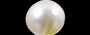 Venezuela Pearl - 5.16 Carat Limited Quality SSP-8575