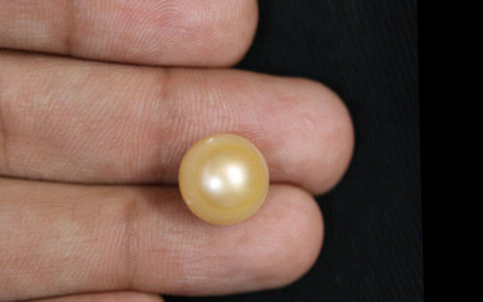 South Sea Pearl - 8.6 Carat Fine Quality SSP-8595