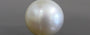 South Sea Pearl - 12.73 Carat Prime Quality SSP-8602