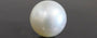 South Sea Pearl - 18.84 Carat Prime Quality SSP-8604