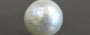 Keshi Pearl - 3.8 Carat Prime Quality SSP-8606