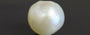 Pearl - SSP 8616 (Origin - Keshi) LImited - Quality