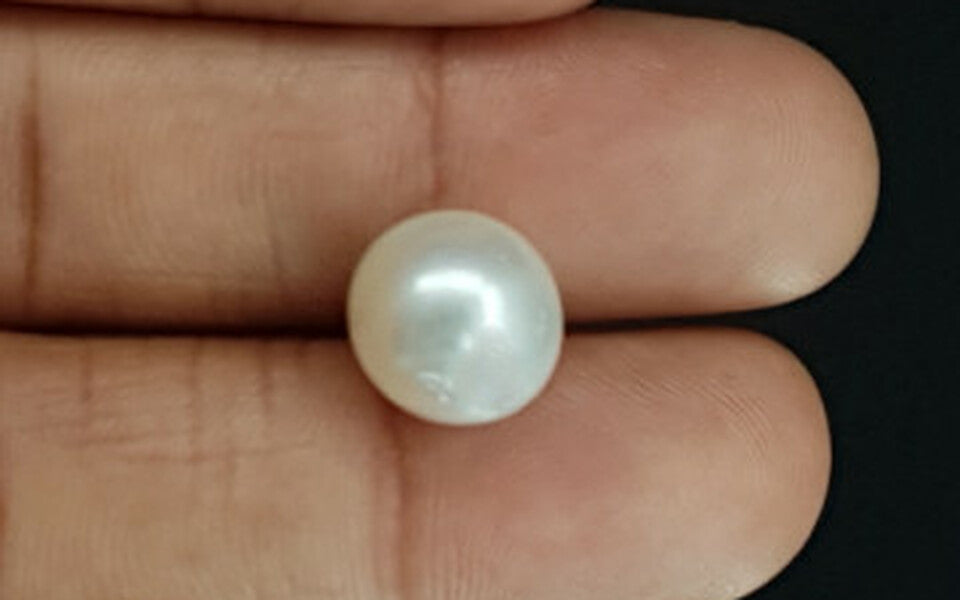 South Sea Pearl - 9.77 Carat Prime Quality SSP-8658