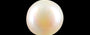 South Sea Pearl - 3.69 Carat Prime Quality SSP-8729