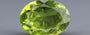 Peridot - 5.04 Carat Limited Quality PDT-14522