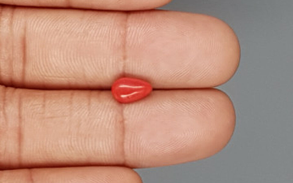 Italian Red Coral - 1.27 Carat Limited Quality CC-5753