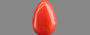 Italian Red Coral - 1.54 Carat Limited Quality CC-5755