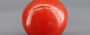 Red Coral - 1.72 Carat (1.90 Ratti - Moonga)