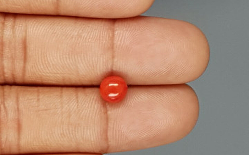 Red Coral - 1.79 Carat (1.98 Ratti - Moonga)