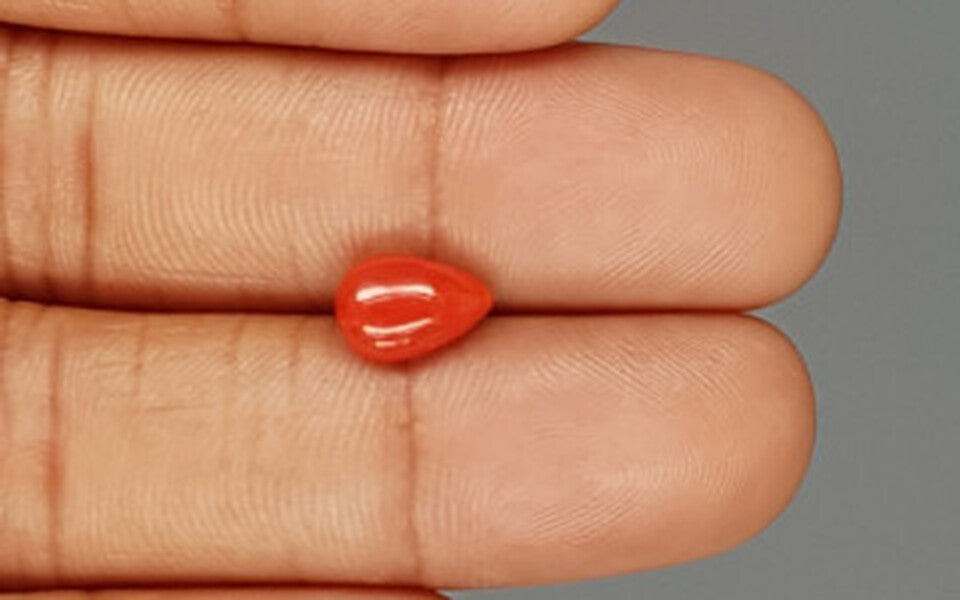 Red Coral - 1.84 Carat (2.03 Ratti - Moonga)