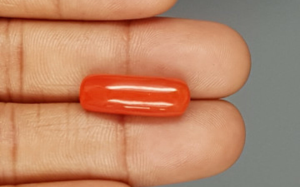 Red Coral - 11.19 Carat (12.36 Ratti - Moonga)