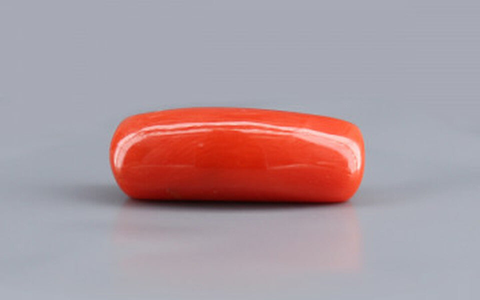 Red Coral - 11.19 Carat (12.36 Ratti - Moonga)