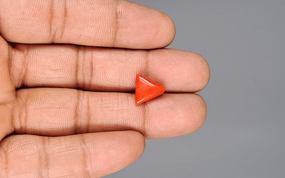 Italian Red Coral - 3.73 Carat Prime Quality TC-5181