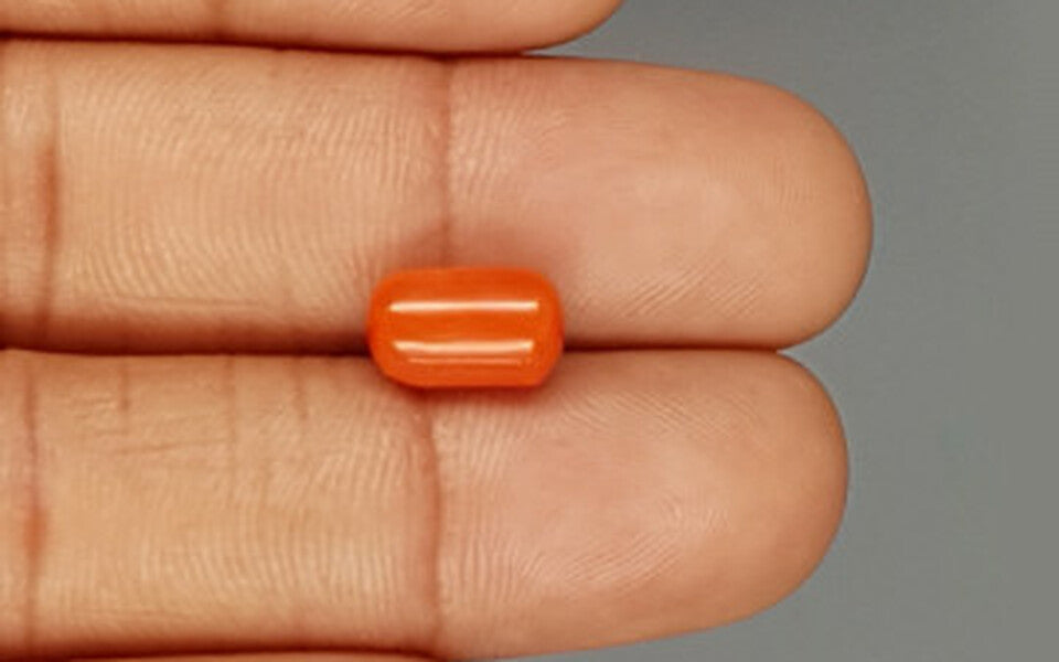 Red Coral - 3.82 Carat (4.22 Ratti - Moonga)