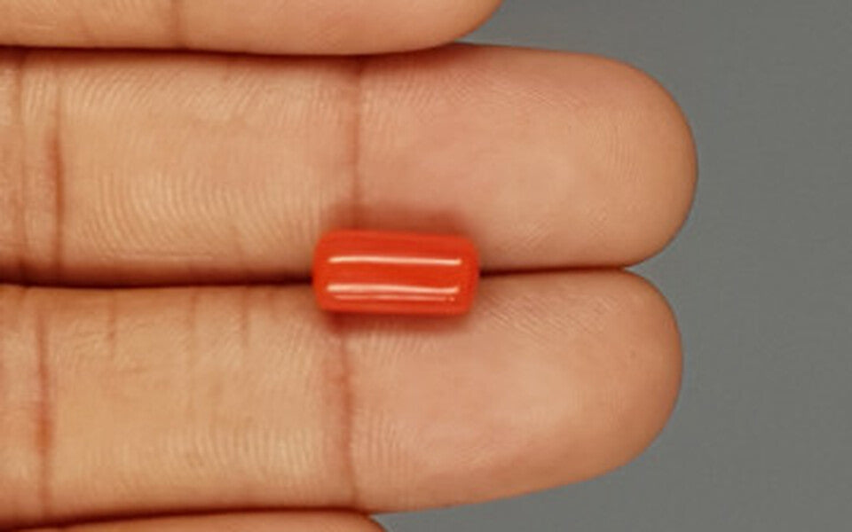 Red Coral - 3.91 Carat (4.32 Ratti - Moonga)