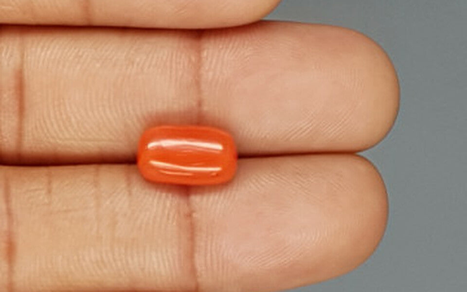 Italian Red Coral - 3.95 Carat Limited Quality CC-5739