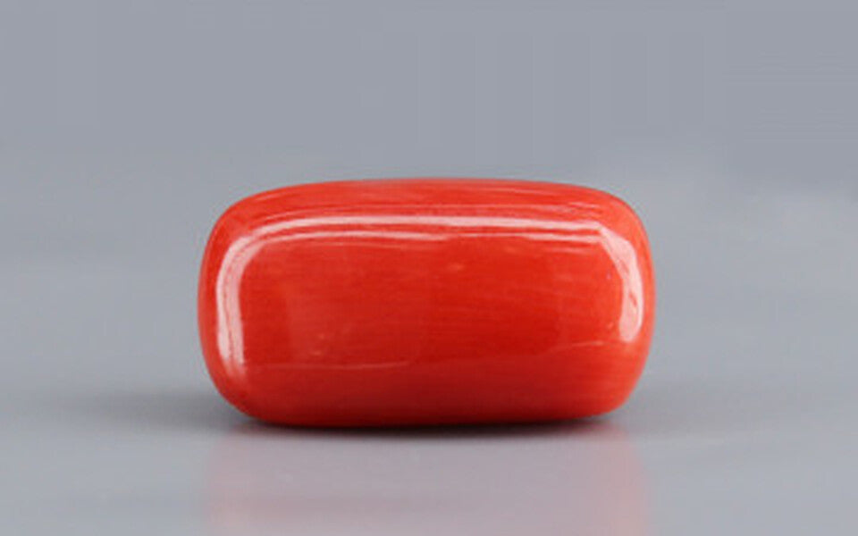 Red Coral - 6.11 Carat (6.75 Ratti - Moonga)