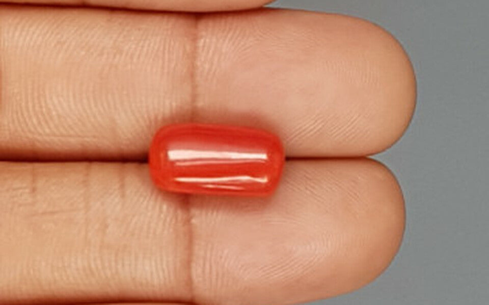 Red Coral - 6.11 Carat (6.75 Ratti - Moonga)