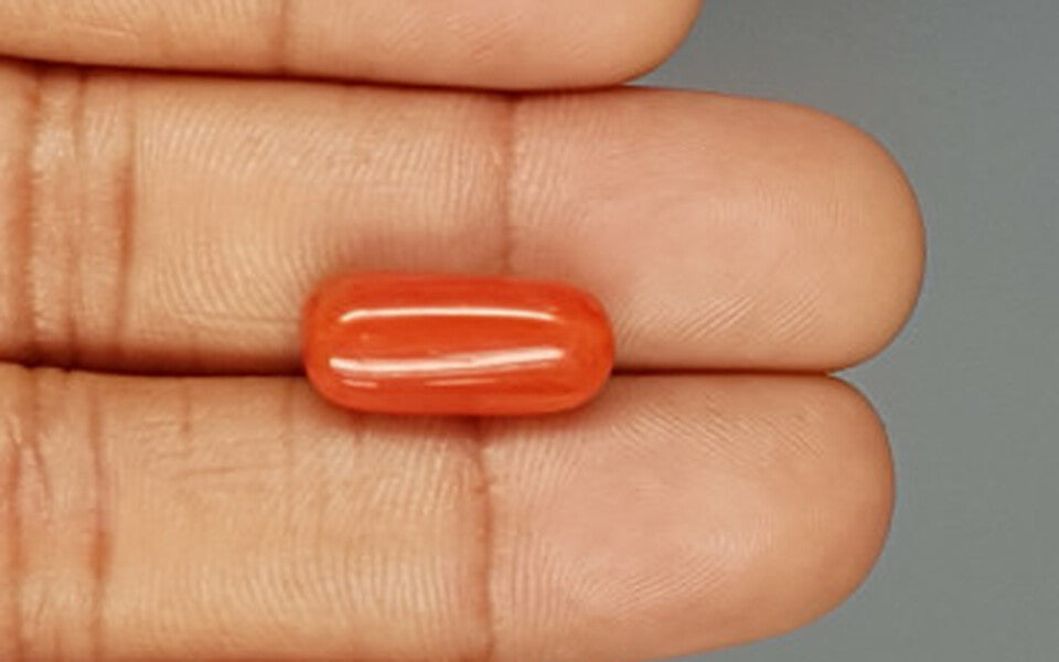 Red Coral - 8.12 Carat (8.97 Ratti - Moonga)