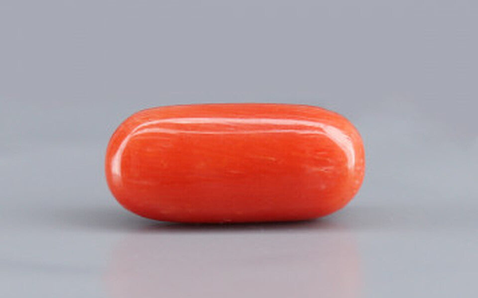 Red Coral - 8.12 Carat (8.97 Ratti - Moonga)