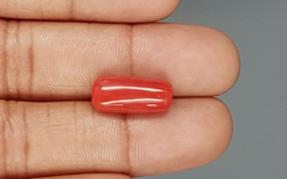 Italian Red Coral - 8.21 Carat Limited Quality CC-5723