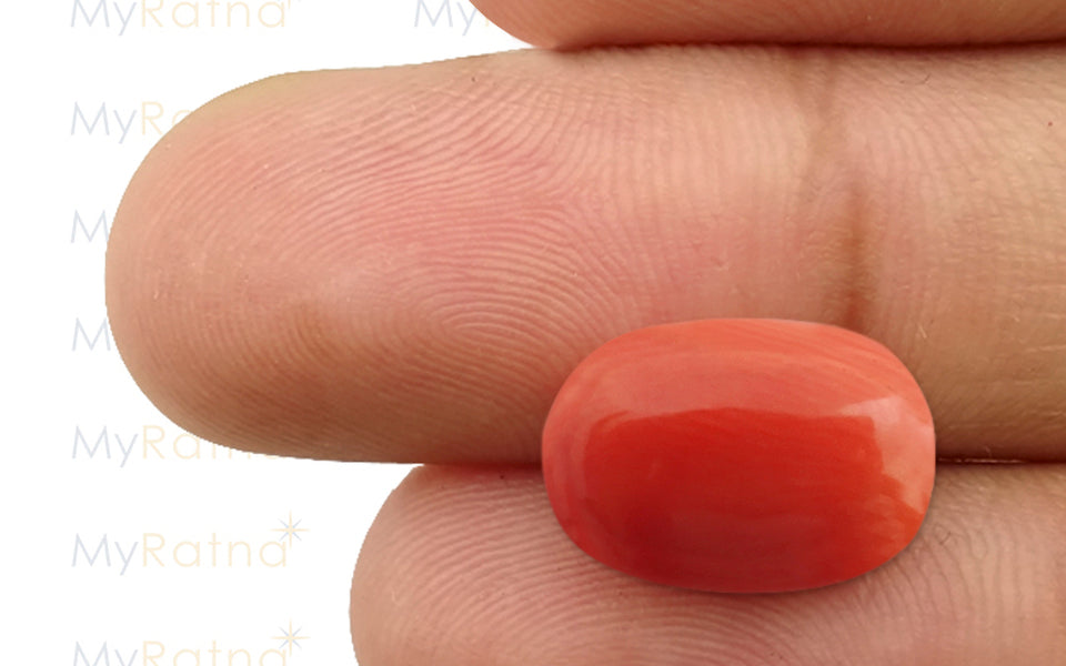 Red Coral - 9.59 Carat (10.60 Ratti - Moonga)