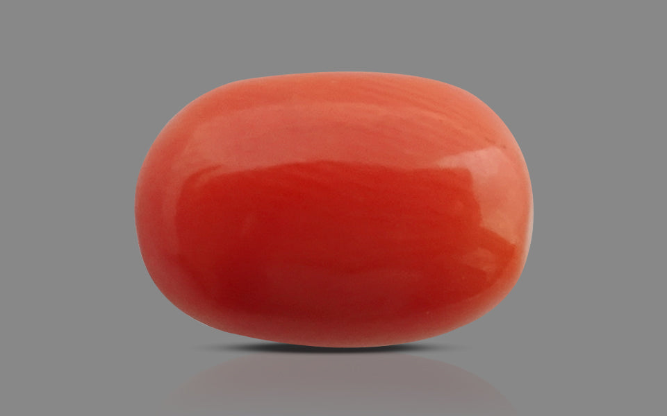 Red Coral - 9.59 Carat (10.60 Ratti - Moonga)