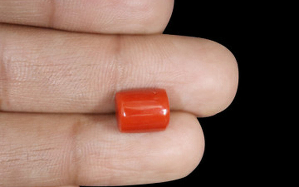 Red Coral - 5.23 Carat (5.78 Ratti - Moonga)
