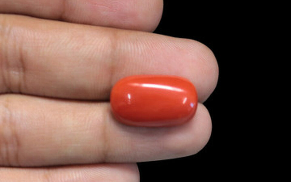 Red Coral - 11.10 Carat (12.27 Ratti - Moonga)