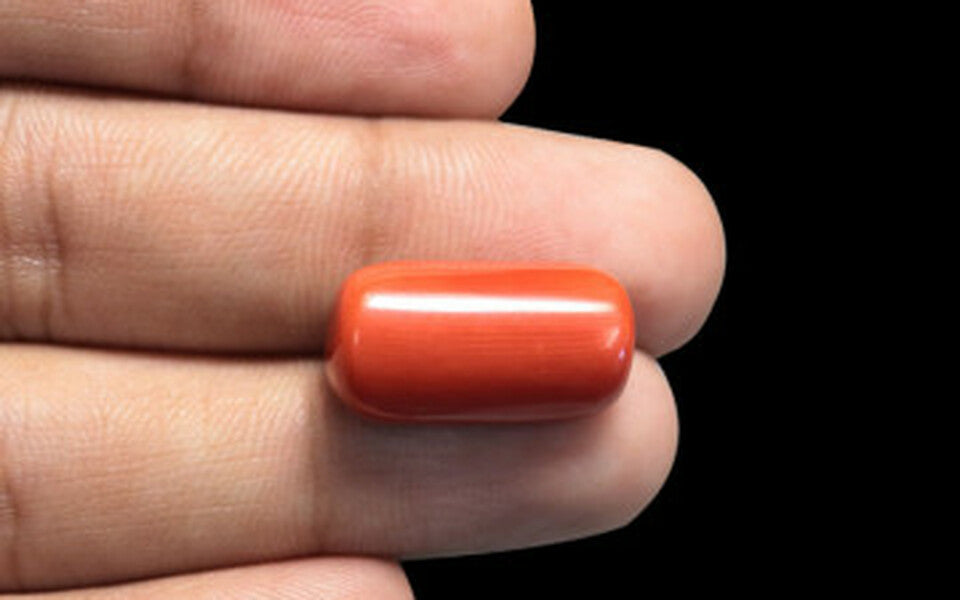 Red Coral - 15.95 Carat (17.62 Ratti - Moonga)