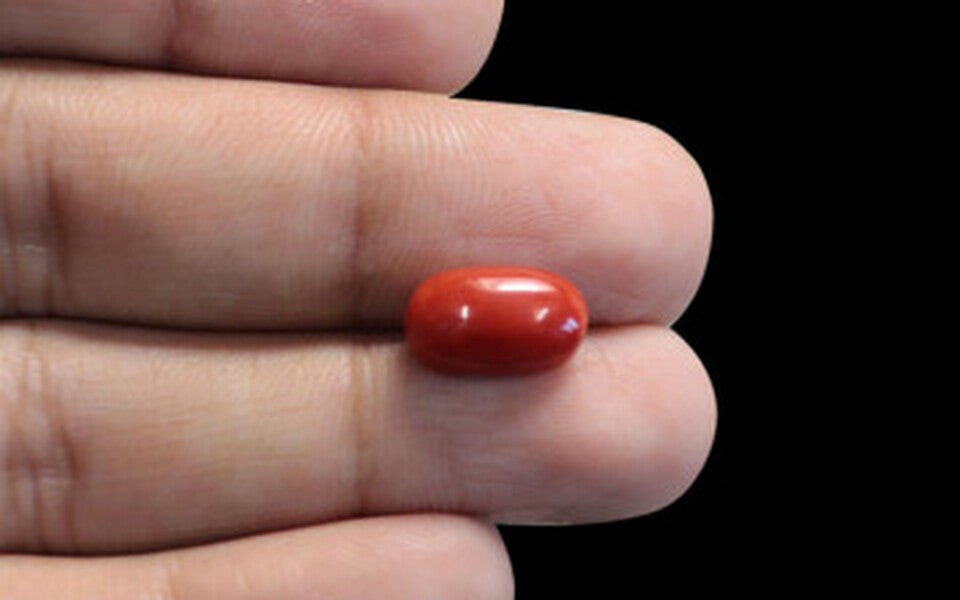 Red Coral - 3.97 Carat (4.39 Ratti - Moonga)
