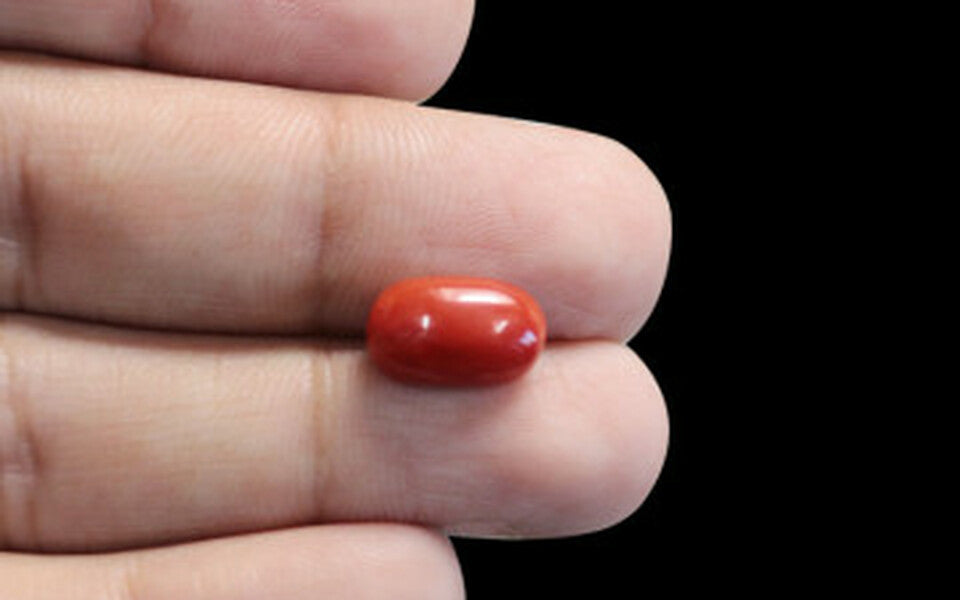 Red Coral - 4.27 Carat (4.72 Ratti - Moonga)