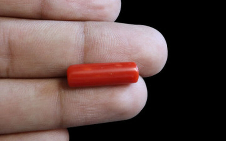 Red Coral - 6.43 Carat (7.10 Ratti - Moonga)