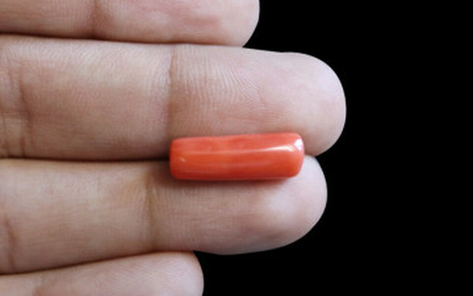 Italian Red Coral - 6.44 Carat Prime Quality CC-5688