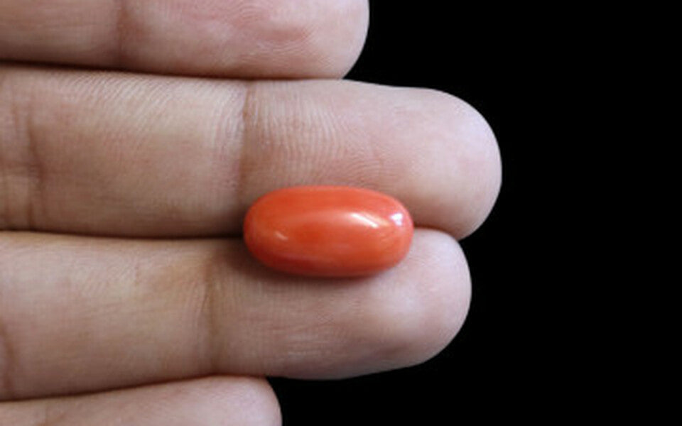 Red Coral - 7.14 Carat (7.89 Ratti - Moonga)