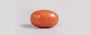 Red Coral - CC 5707 (Origin - Italy) Rare - Quality